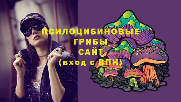 сатива Саяногорск